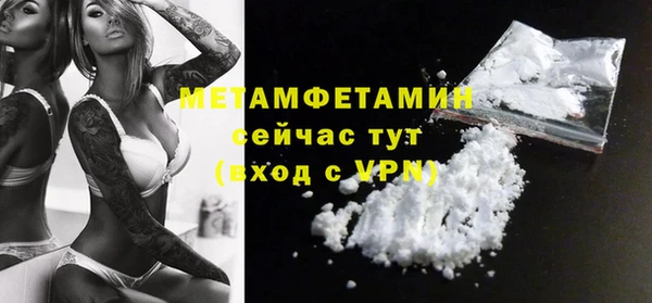 молекула духа Пересвет