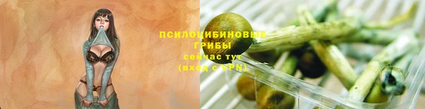 молекула духа Пересвет