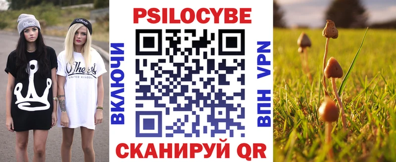 Псилоцибиновые грибы Psilocybe  Купить закладки  Сусуман 