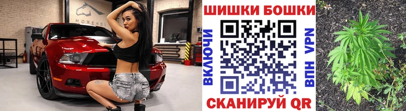 Шишки марихуана Amnesia  Купить закладки  Сусуман 